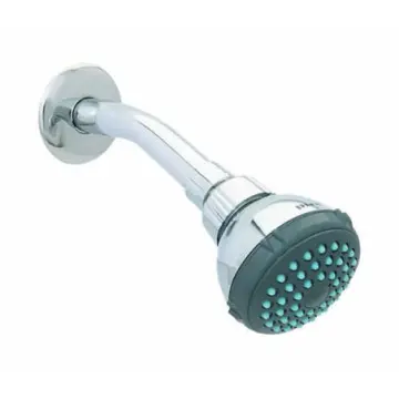 Regadera de Hierro Dica 4506bv Con Brazo Y Chapetón Cromo