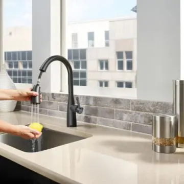 Monomando de Fregadero Pfister Raya F5297ryb Negro Mate