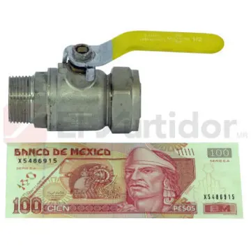 Valvula de Inserción Coflex 1 (32) (cxrm) Cg-vi33-cc