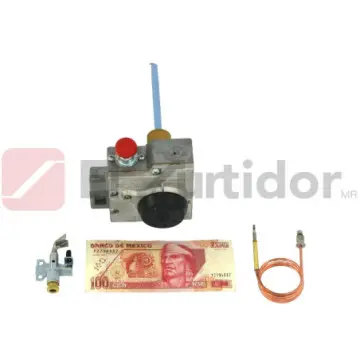 Termostato Automático Iusa 399312 Con Accesorios Gris