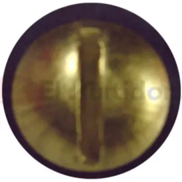 Tornillo Mariposa Para Acoplar Beta 983004 Latón