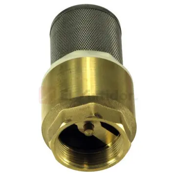 Check Pichancha Valmex 38mm Con Rejilla en Acero Inoxidable 20.105