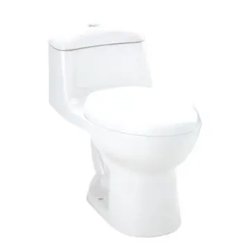 Sanitario Corona Smart...