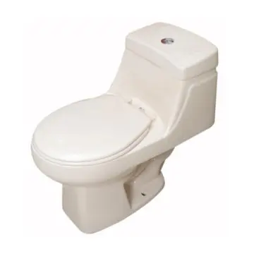 Sanitario de 1 pieza con...