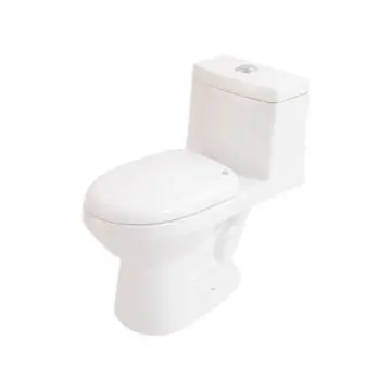 Sanitario Tendenzza Dual...