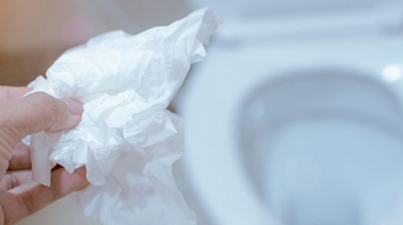 Papel de baño ¿al bote o al inodoro?