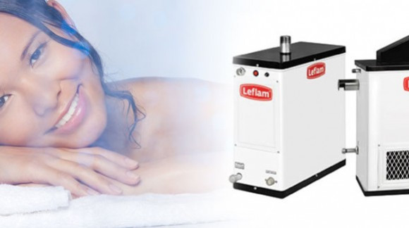 ¿Por qué utilizar un generador de vapor?