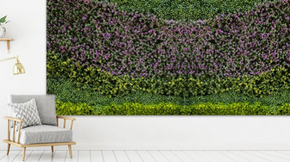 Consejos para limpiar un muro verde