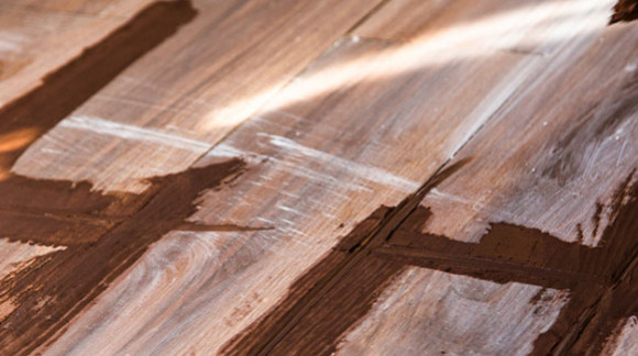 ¿Qué es la boquilla o junta?