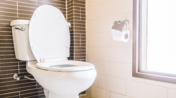 Inodoros ecológicos