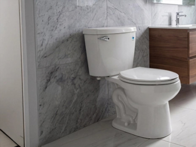  3.8 litros por descarga: La eficiencia del modelo Austral (Botón y Palanca)