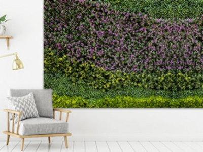 Consejos para limpiar un muro verde